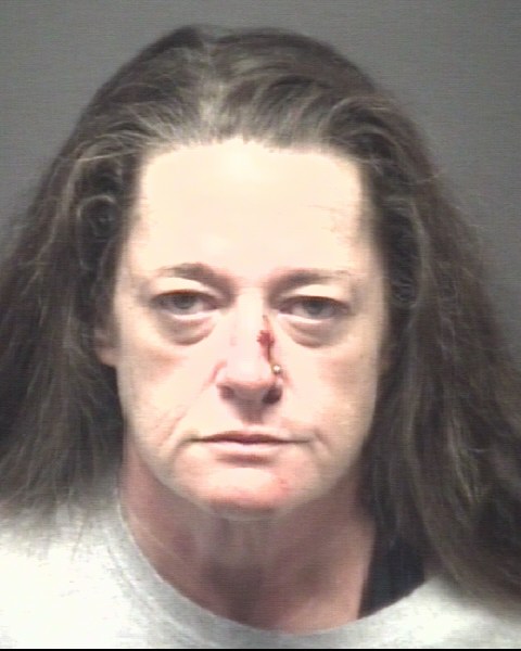 Booking photo of Elizabeth Williams