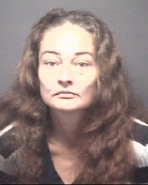 Booking photo of Crystal Shifflett
