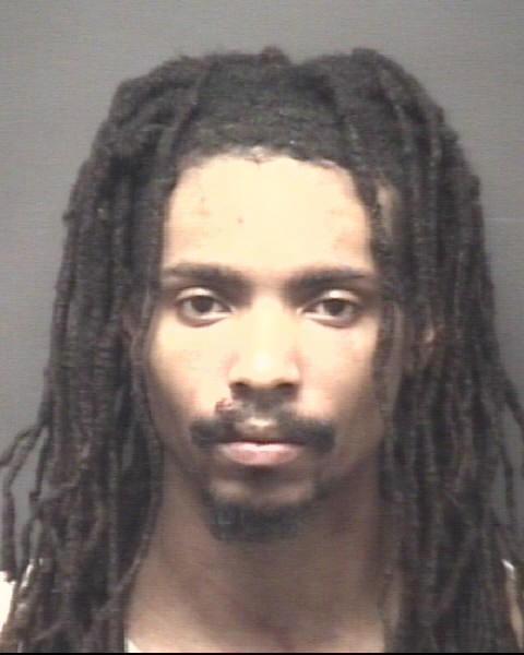 Booking photo of Michael Wiggins