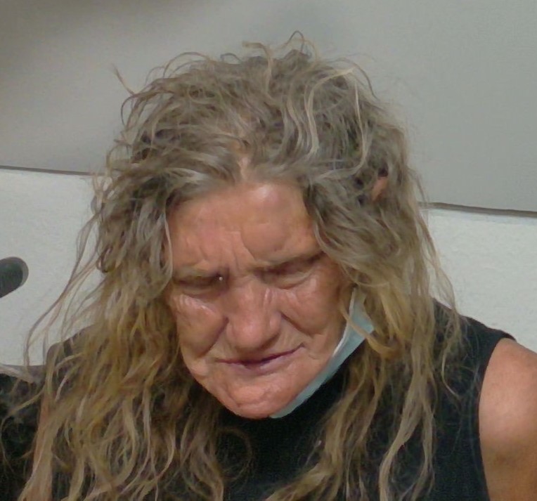 Booking photo of Teresa Greenfield