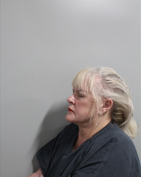 Deborah Livingston booking photo