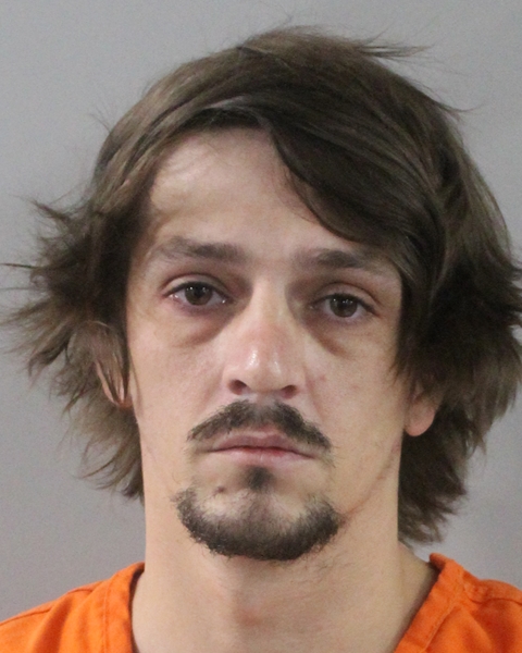 Brian Hodolitz booking photo
