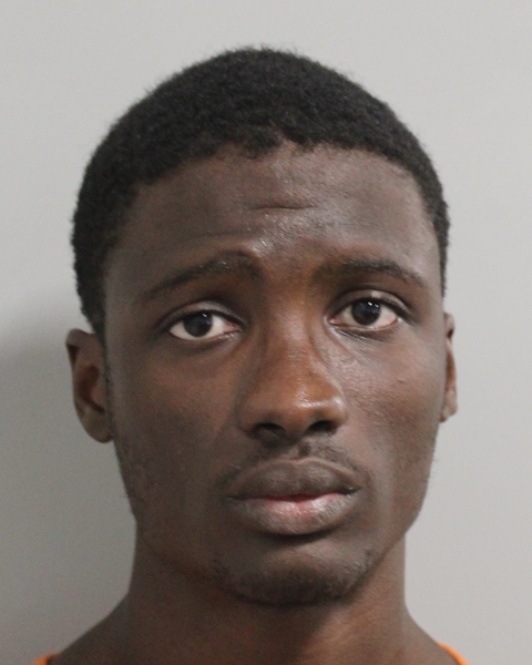 Gaimsley Laine booking photo