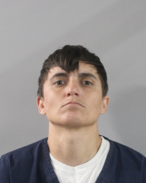 Alyssia Crose booking photo