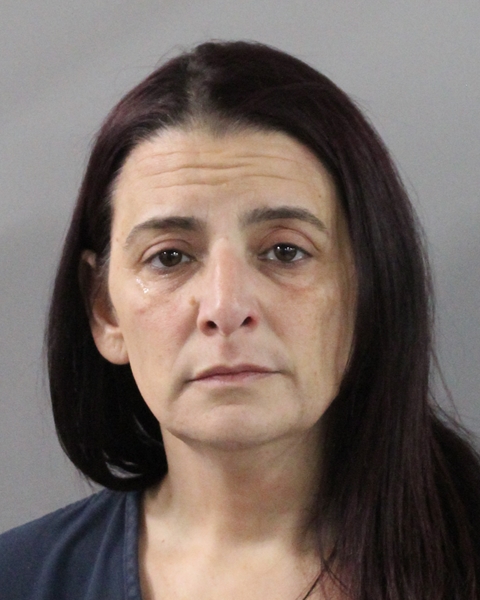 Booking photo of Nicole Klein