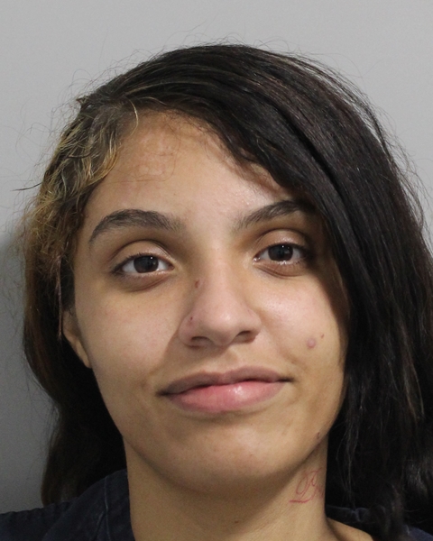 Booking photo of Yaireliz Ortiz