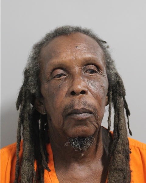 Booking photo of Arthur Palmer