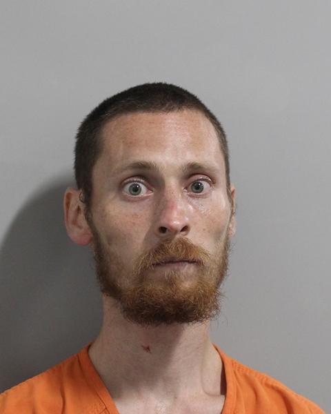Booking photo of Noah Wells