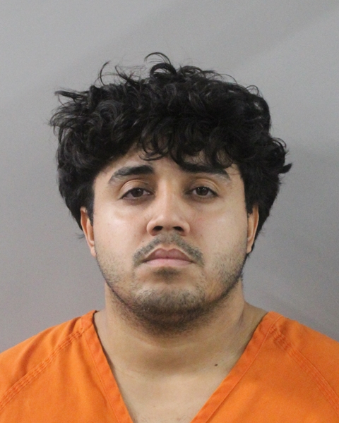 Booking photo of David Godineaux