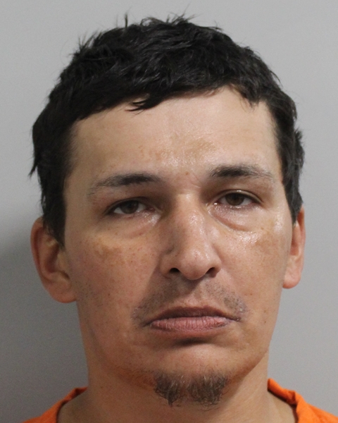Shawn Rose booking photo