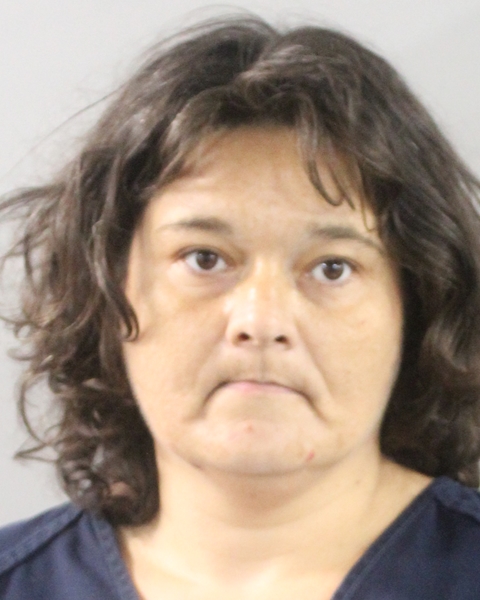 Booking photo of Melissa Gibson