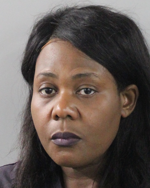Booking photo of Rose St Vil