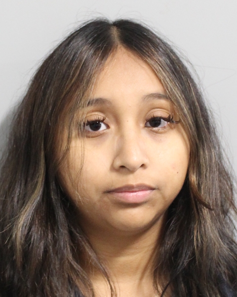 Booking photo of Elizabeth Santos