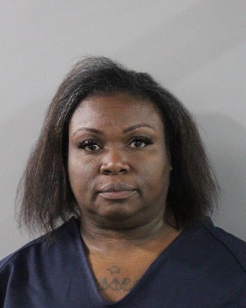 Sandra Haynes booking photo