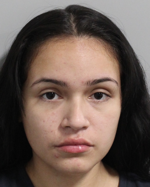 Booking photo of Katherine Bardales