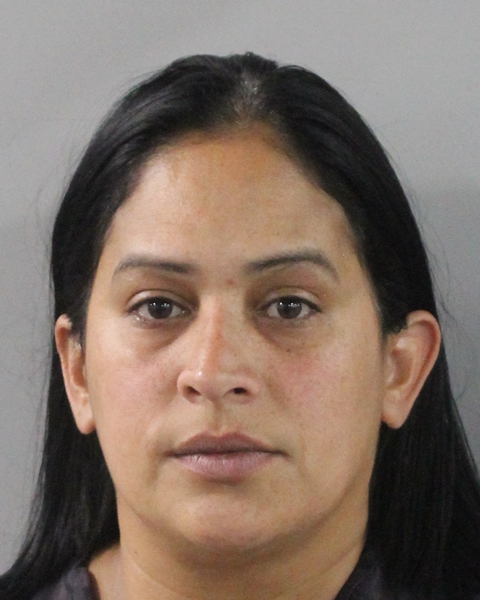 Alicia Raga Suarez booking photo