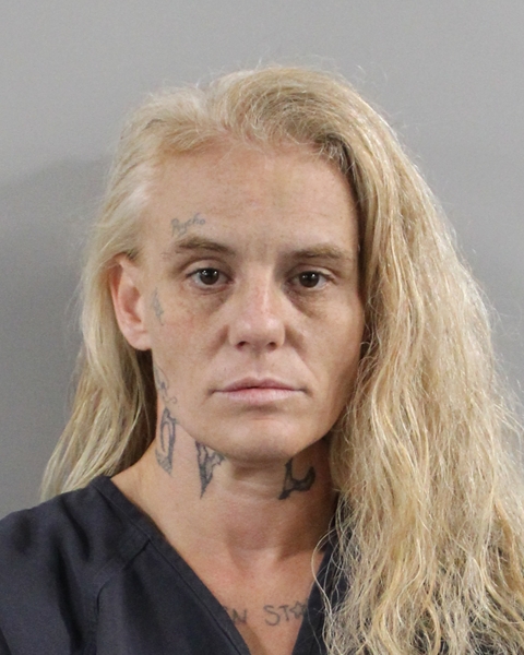 Booking photo of Janette Phillips