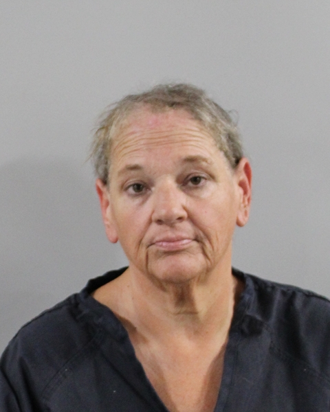 Booking photo of Theresa Ivy