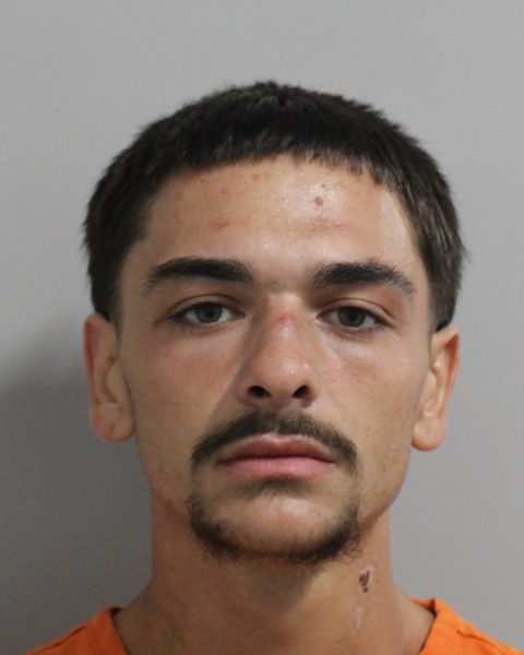 Bradly Gomez booking photo