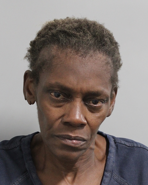 Booking photo of Linda Austin