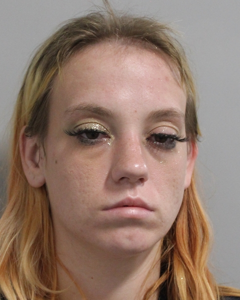 Booking photo of Leslie Diaz