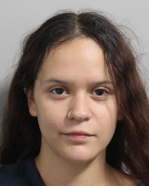 Sandra Ramirez booking photo