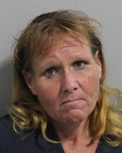 Booking photo of Jessica Bleistein