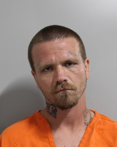 Booking photo of Robert Williams
