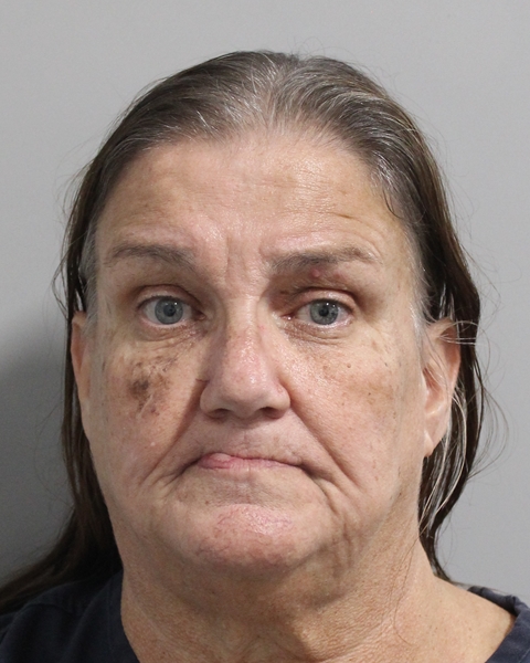 Booking photo of Lisa Glenn