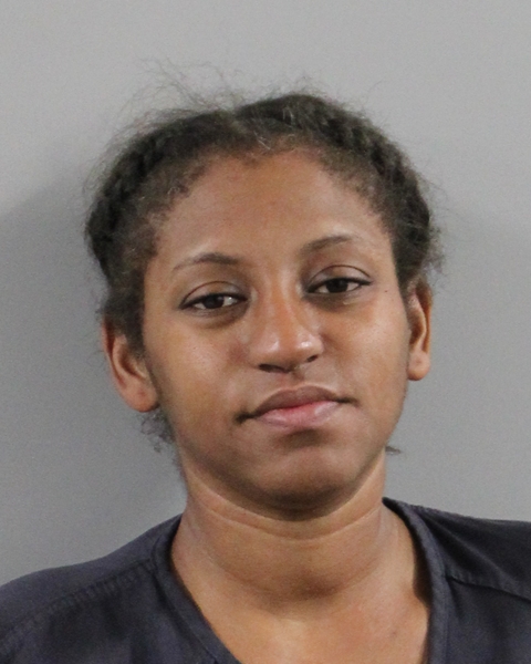 Booking photo of Megan Banks