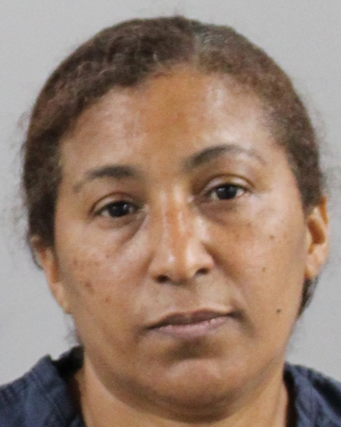 Booking photo of Mariluz Laureano Rodriguez