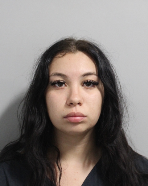 Vanessa Satariano booking photo