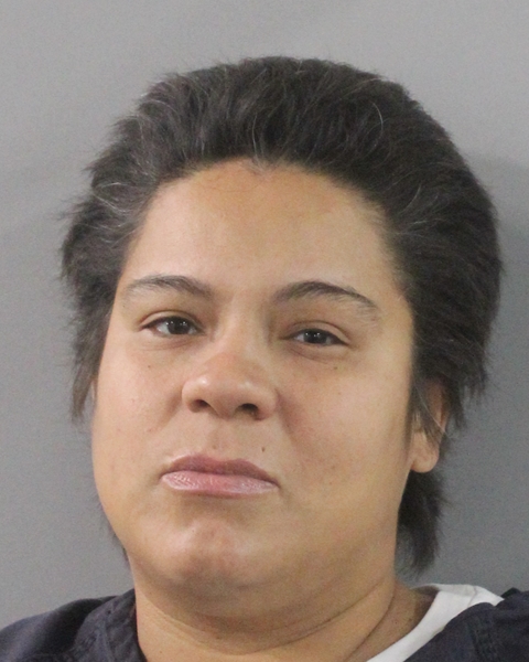 Booking photo of Amy Arroyo