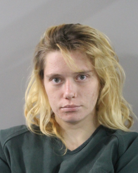 Ariana Johnson booking photo
