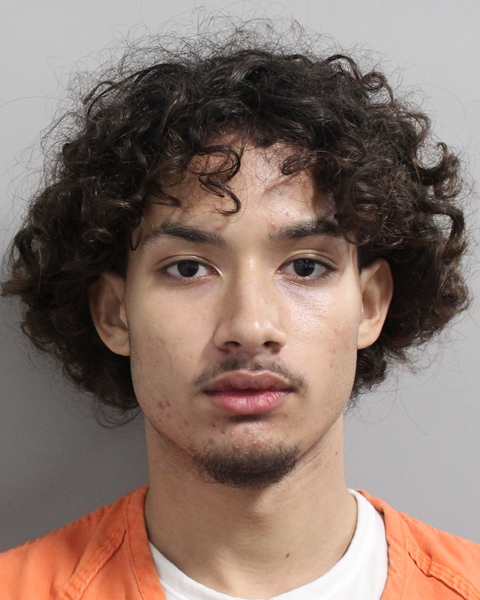 Booking photo of Jonas Castro