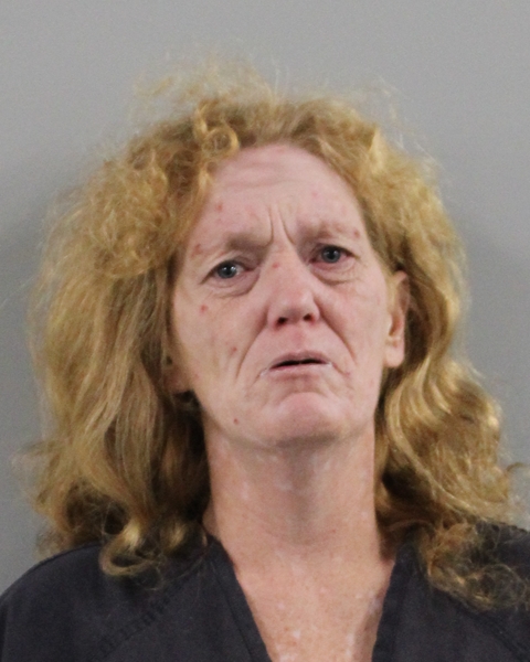 Booking photo of Brenda Maddox