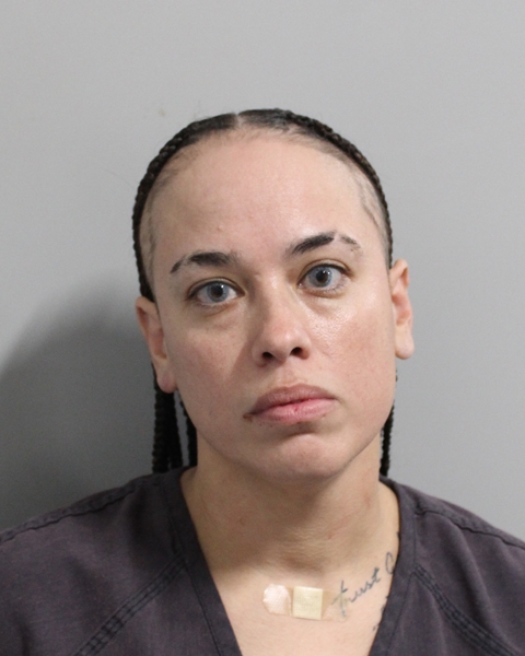 Booking photo of Angela Santiago