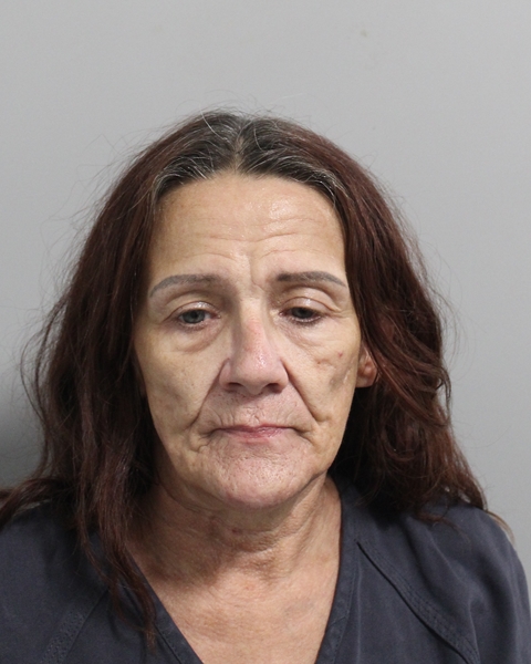 Booking photo of Sherry Federico
