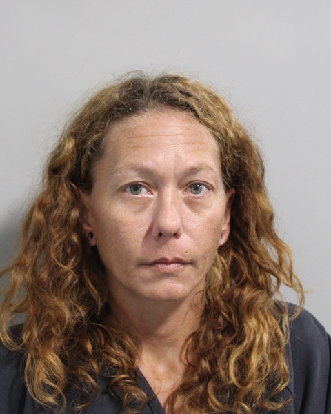 Booking photo of Lori Clem