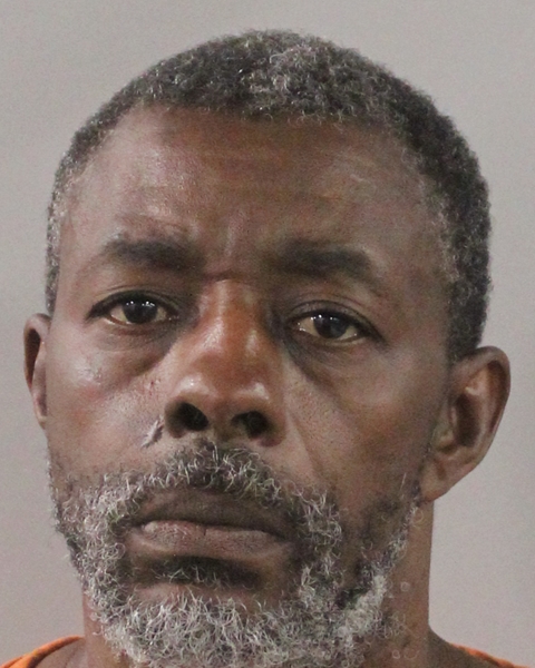 Booking photo of Donyele West