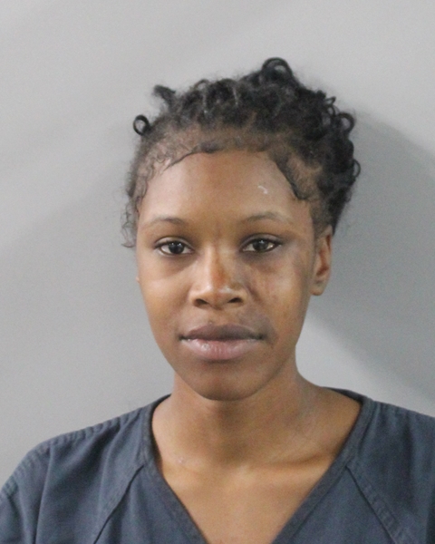 Booking photo of Traci Hamilton Wasp
