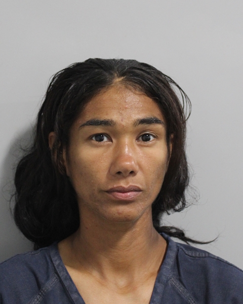 Booking photo of Damaris Lugo Rodriguez