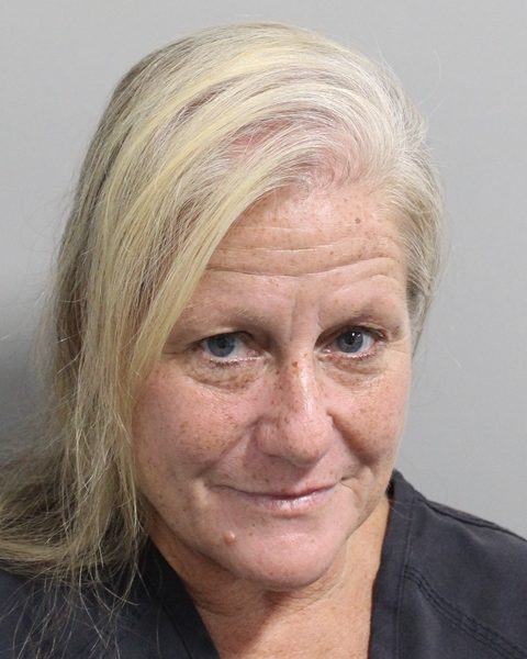 Booking photo of Gayle Wessel