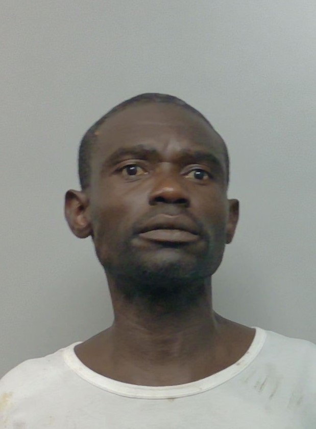 Booking photo of Alix Pierre-louis