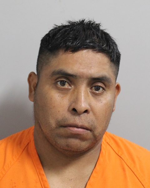 Booking photo of Sanchez Salvador