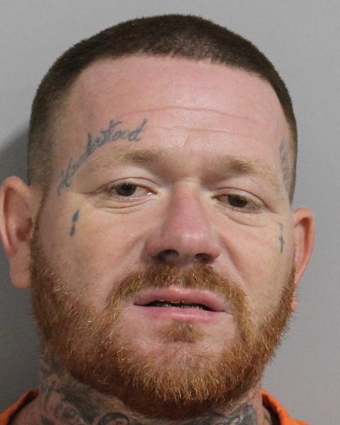 Booking photo of Bryan Lewis