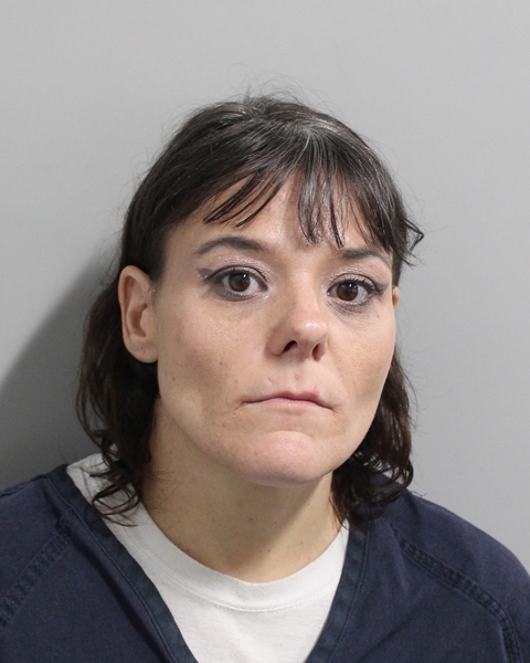Booking photo of Ashley Hornbake