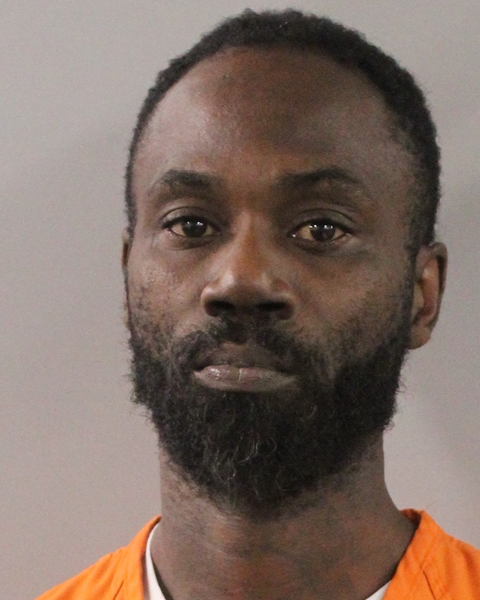 Booking photo of Eric Mckenzie
