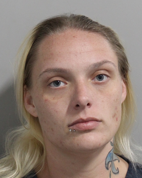 Randi Nicolodi booking photo