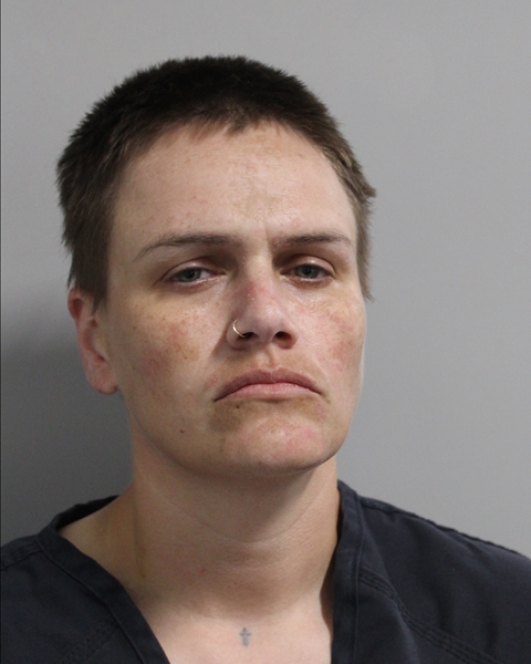 Booking photo of Lindsay Fishbeck